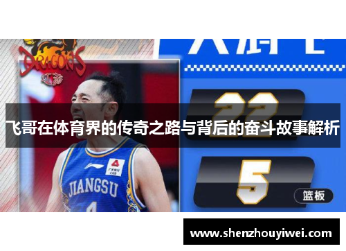 飞哥在体育界的传奇之路与背后的奋斗故事解析